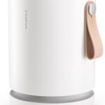 Molekule Air a Levoit Core 400S: PECO vs HEPA