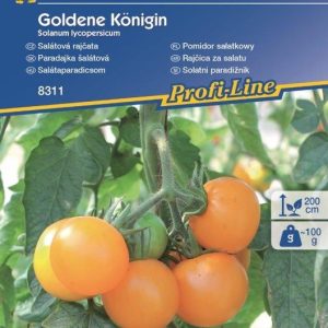 Kiepenkerl Pomidor Goldene Königin