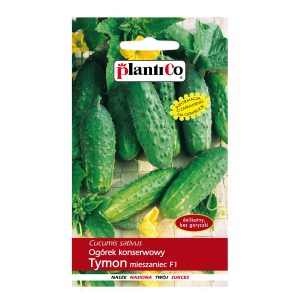 Ogórek gruntowy Tymon 5 g