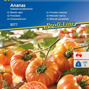 Pomidor mięsisty Ananas do uprawy gruntowej