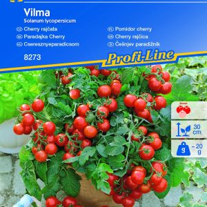 Pomidory Cherry Vilma - Nasiona