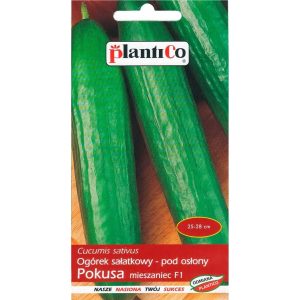 Średni ogórek szklarniowy Pokusa - 1 g