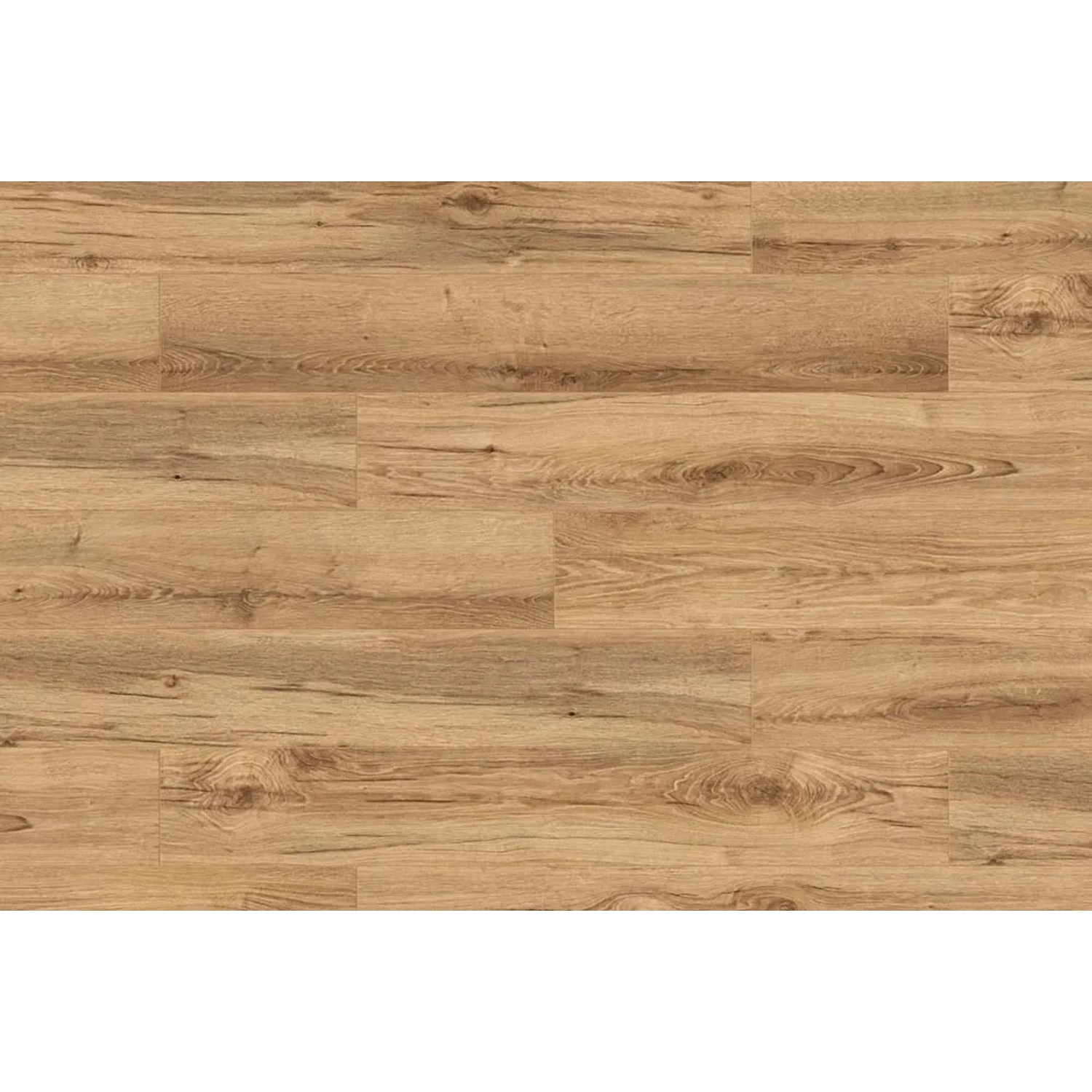 Panel podłogowy Dąb Gordon 8 mm AC 5