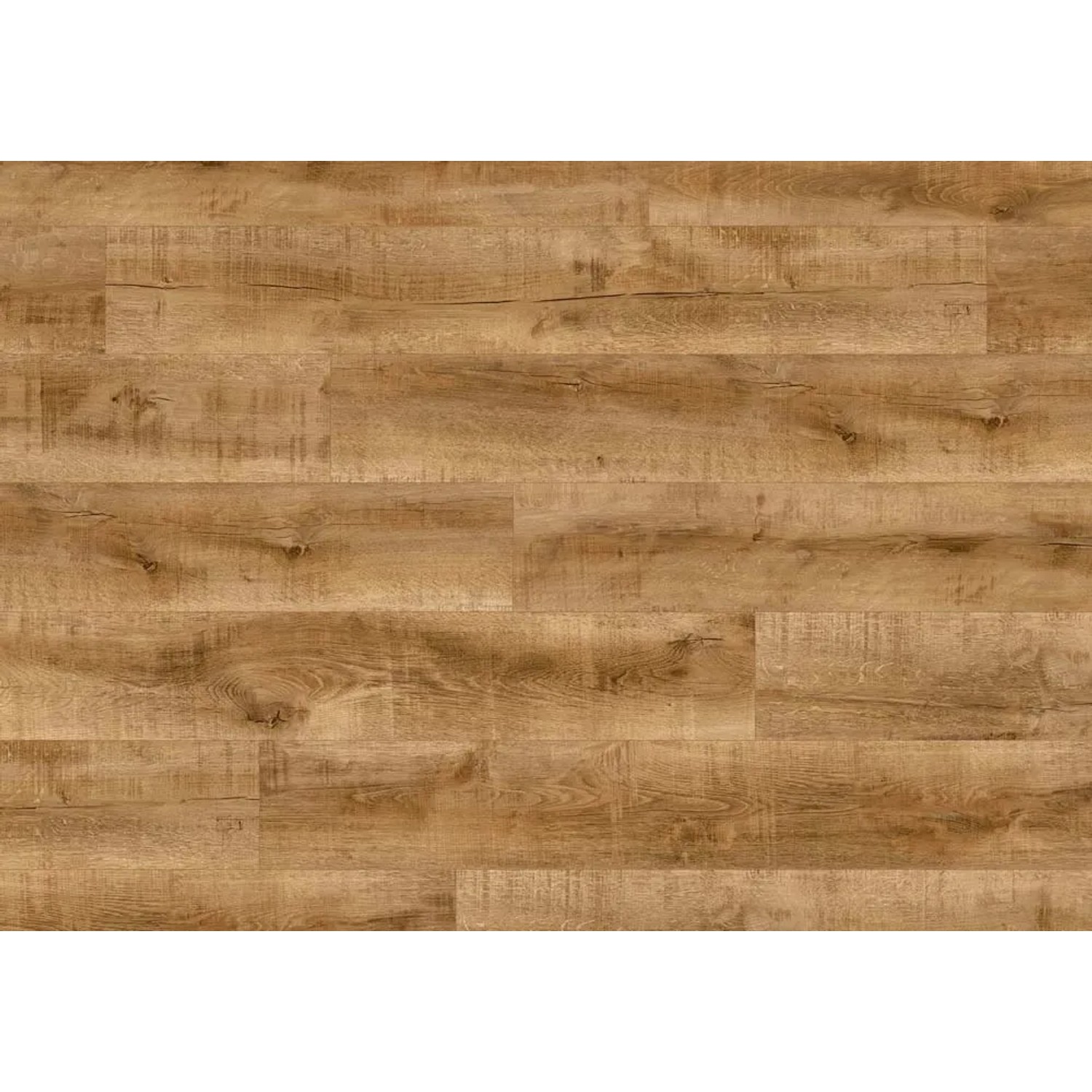 Panel podłogowy Dąb Calvetron 8 mm