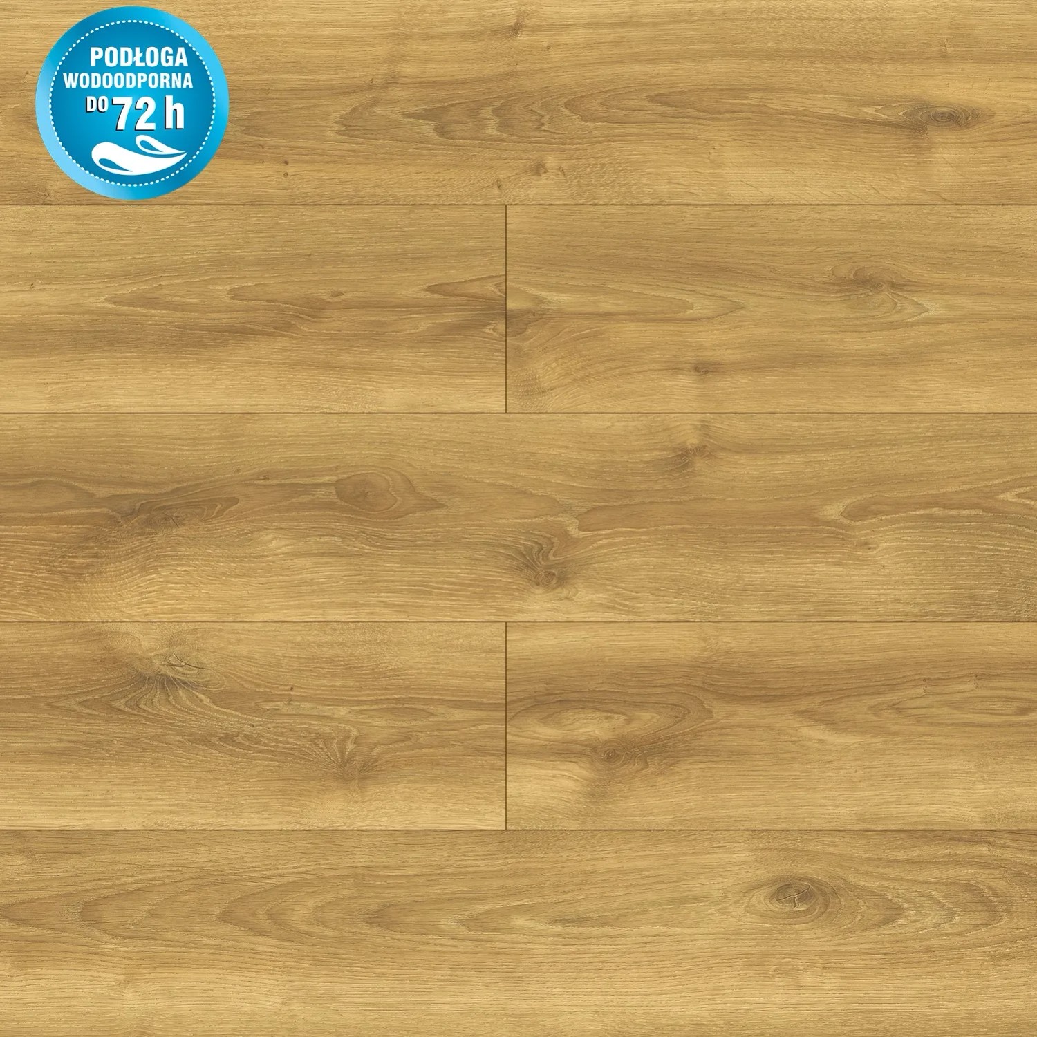 Panele podłogowe Dąb Ravenna 10 mm
