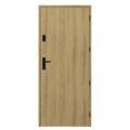 Windoor Drzwi Klatkowe Andromeda Plus Kolor Coriander
