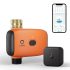 Recenzja Lumary Smart Water Timer (2 wyjścia) — inteligentny timer podlewania